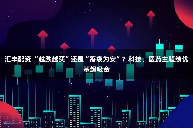 汇丰配资 “越跌越买”还是“落袋为安”？科技、医药主题绩优基超吸金